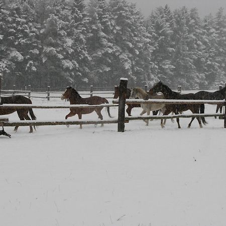 Penzion-Ranc U Trapera Hrabušice Zewnętrze zdjęcie